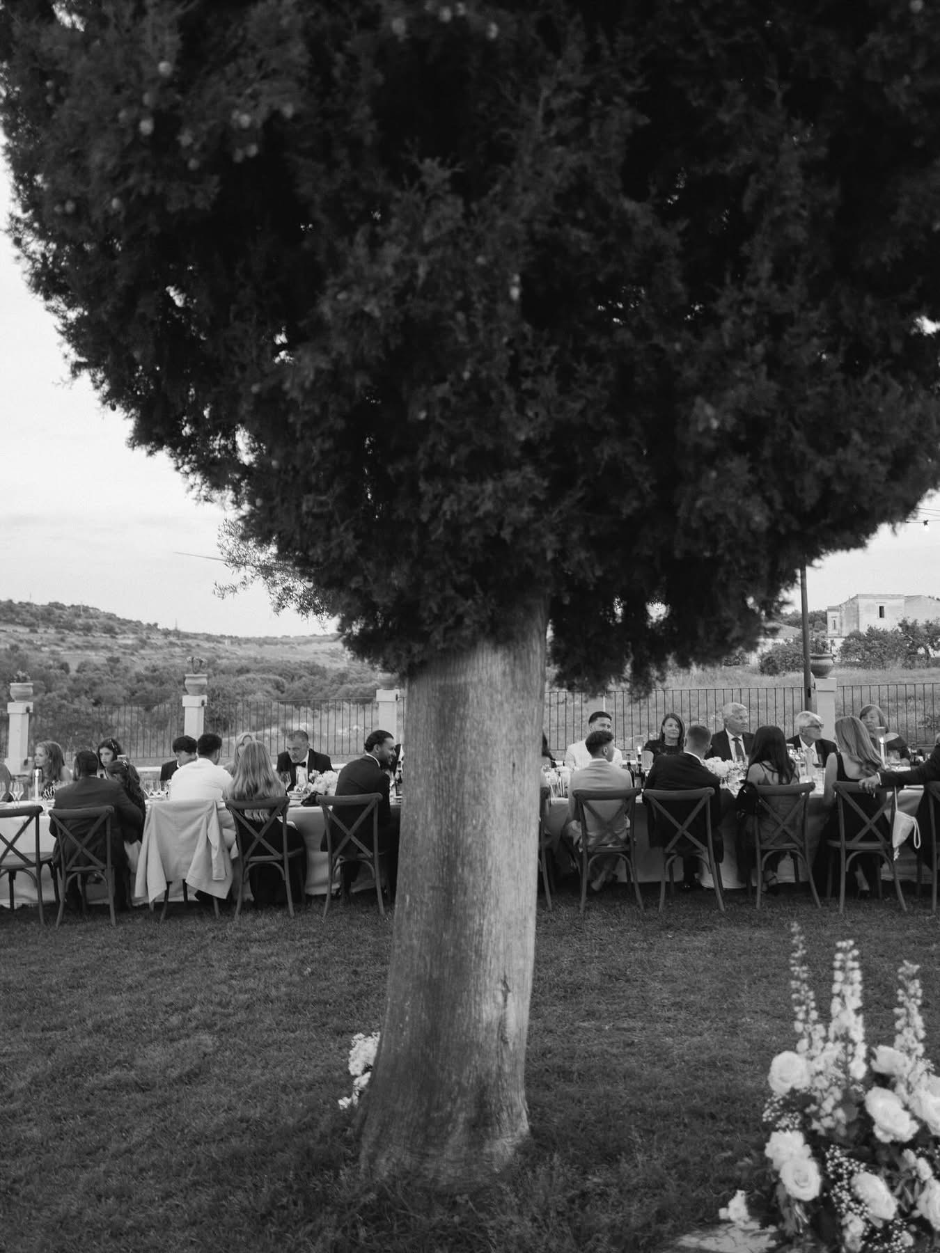 Una foto in bianco e nero della cena sotto un albero al Borgo del Carato